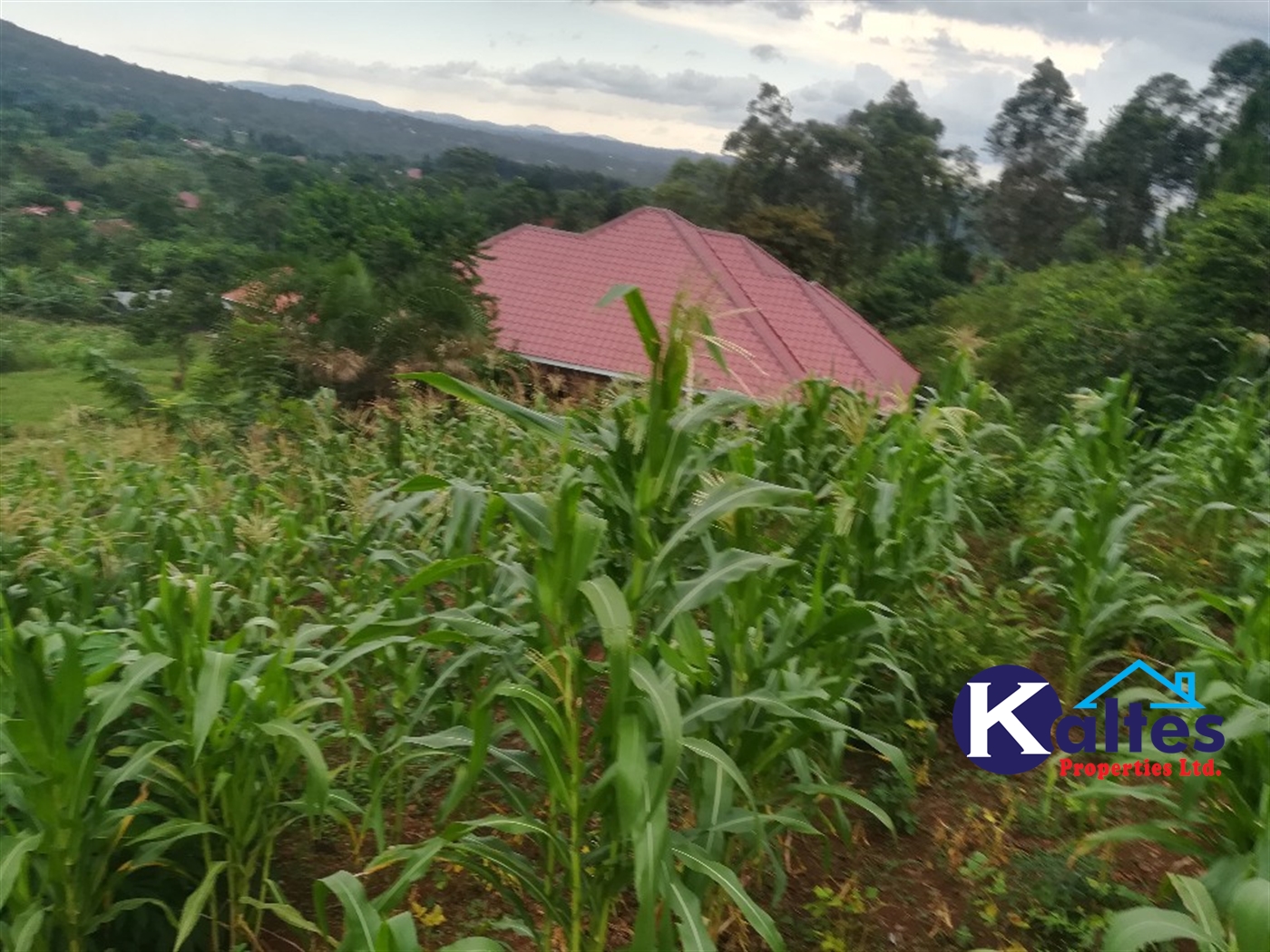 Residential Land for sale in Naama Mukono