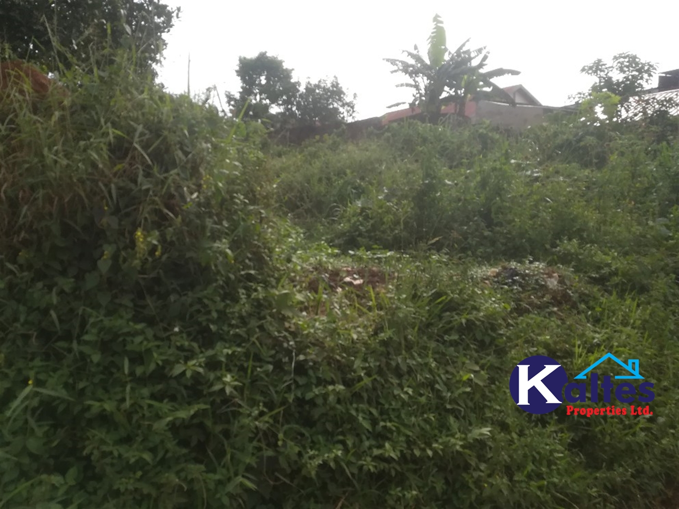 Residential Land for sale in Naama Mukono