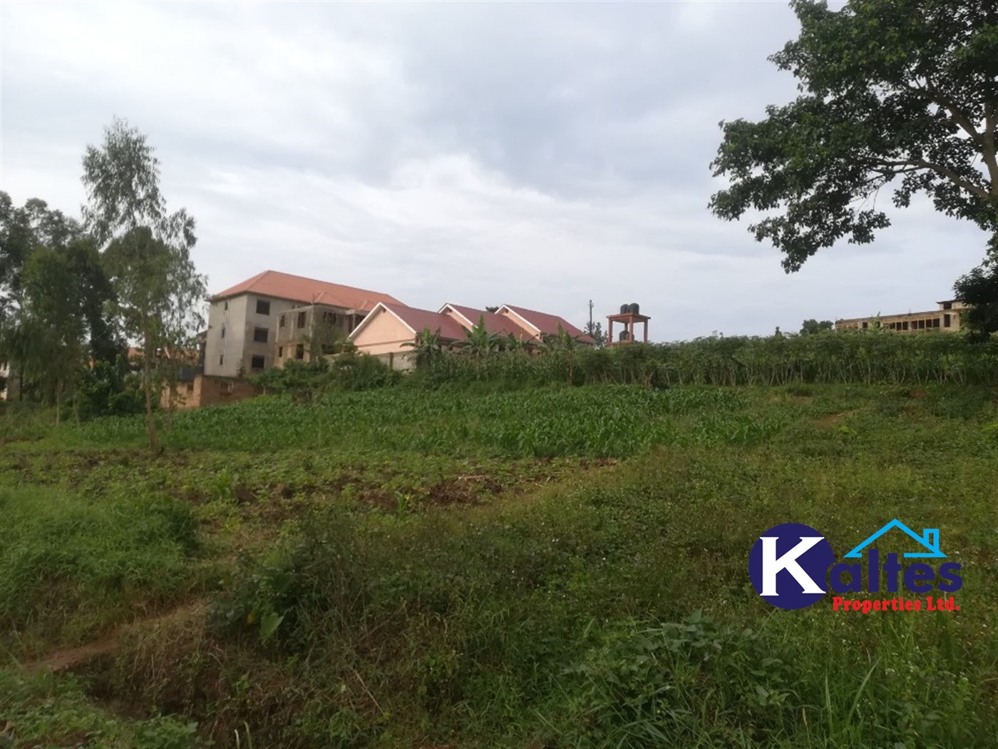 Residential Land for sale in Naama Mukono