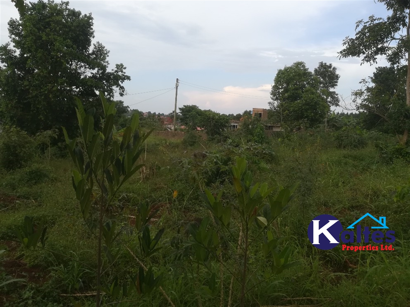 Residential Land for sale in Naama Mukono