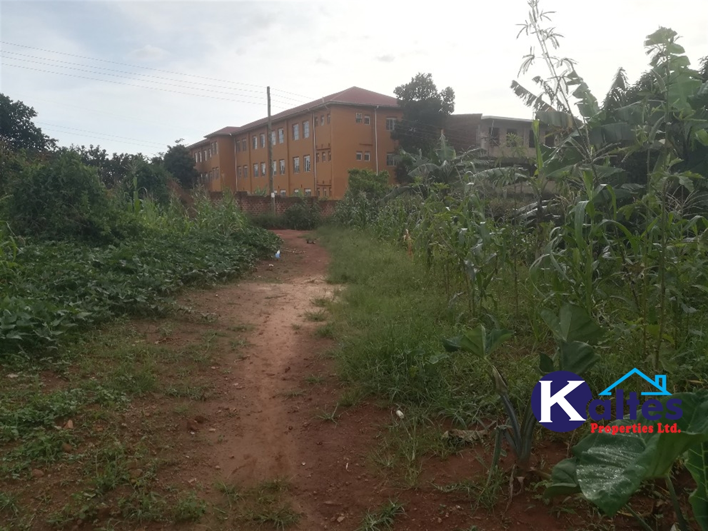 Residential Land for sale in Kisowela Mukono