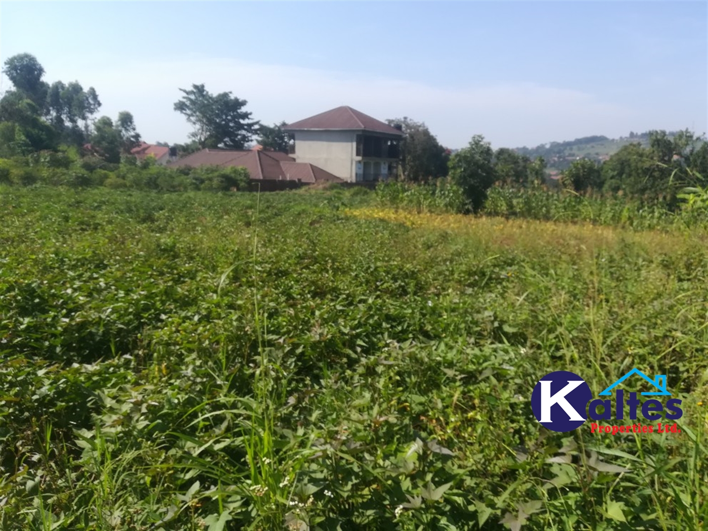 Residential Land for sale in Kisowela Mukono