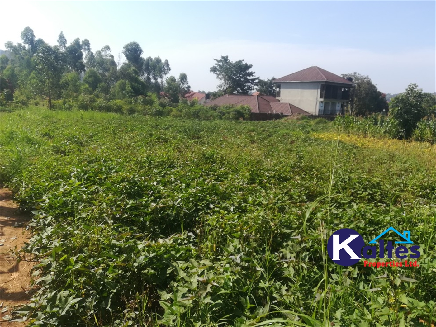 Residential Land for sale in Kisowela Mukono