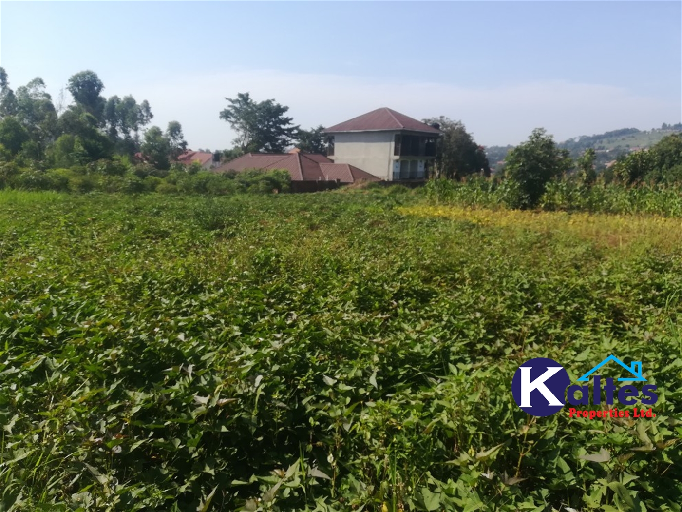 Residential Land for sale in Kisowela Mukono