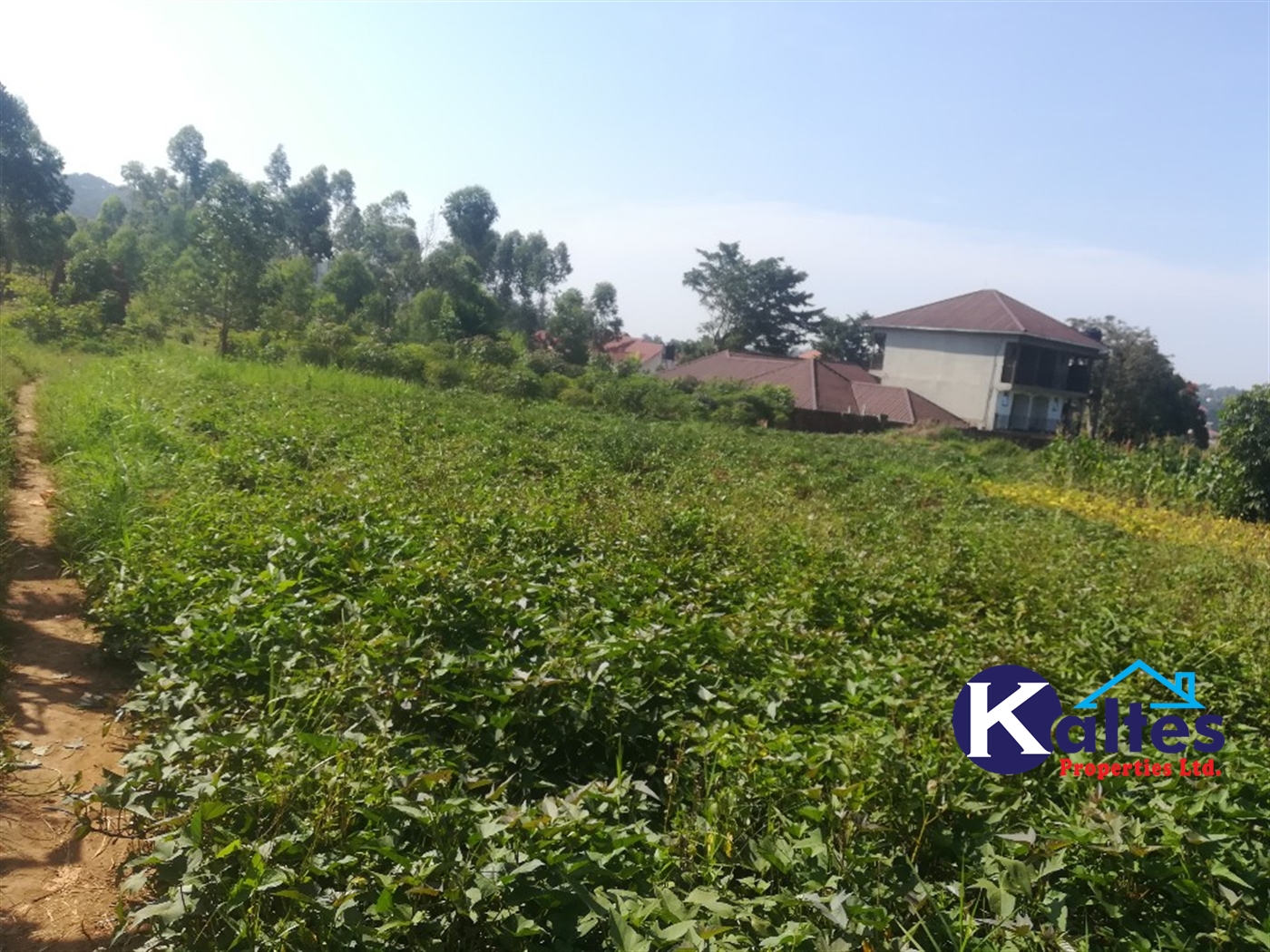 Residential Land for sale in Kisowela Mukono