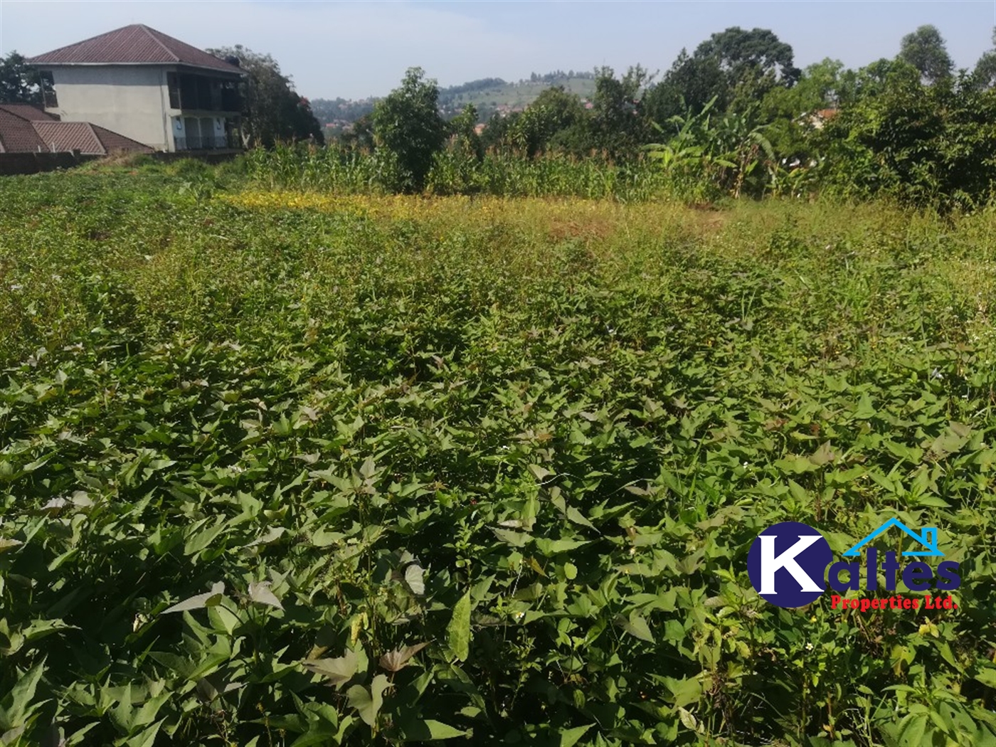 Residential Land for sale in Kisowela Mukono