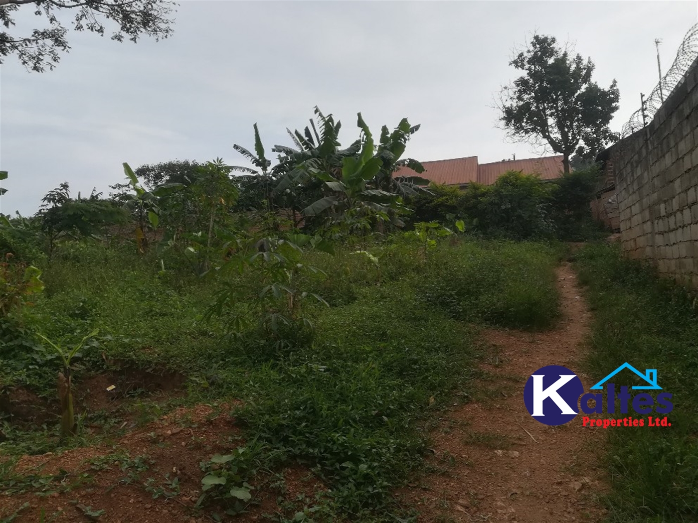 Residential Land for sale in Kisowela Mukono