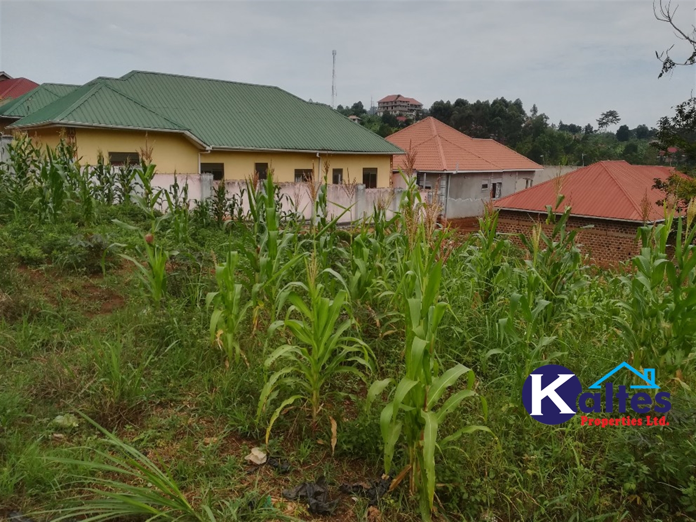 Residential Land for sale in Mpooma Mukono