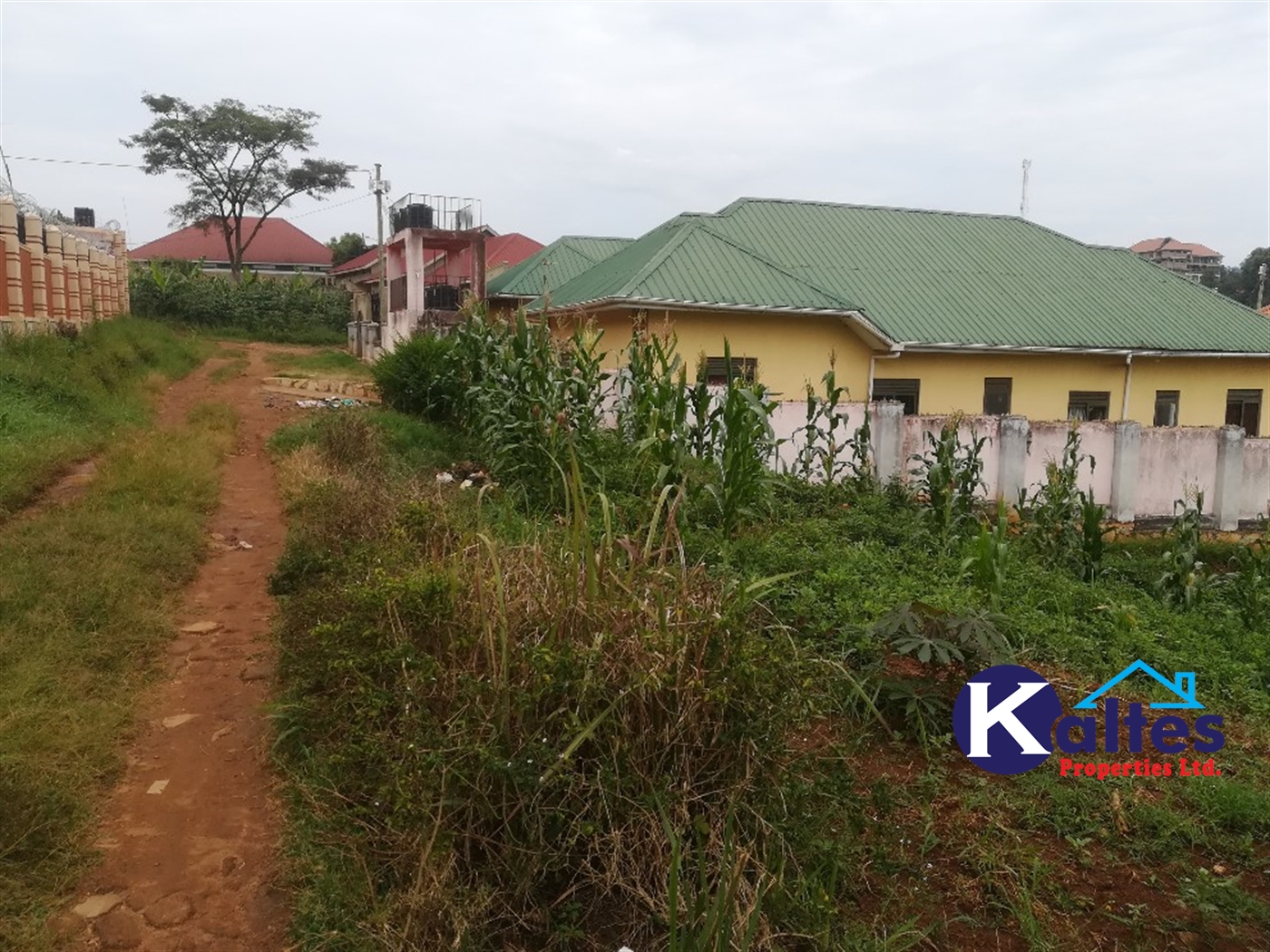 Residential Land for sale in Mpooma Mukono