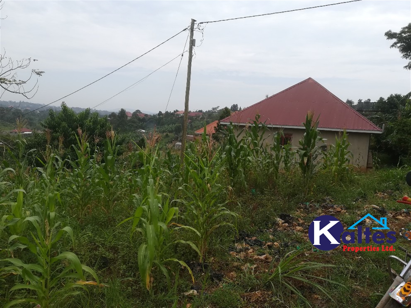 Residential Land for sale in Mpooma Mukono