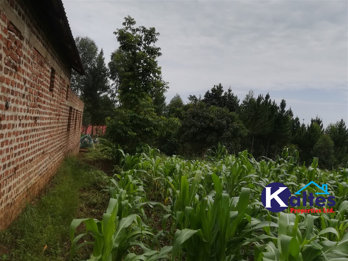 Residential Land for sale in Mpooma Mukono