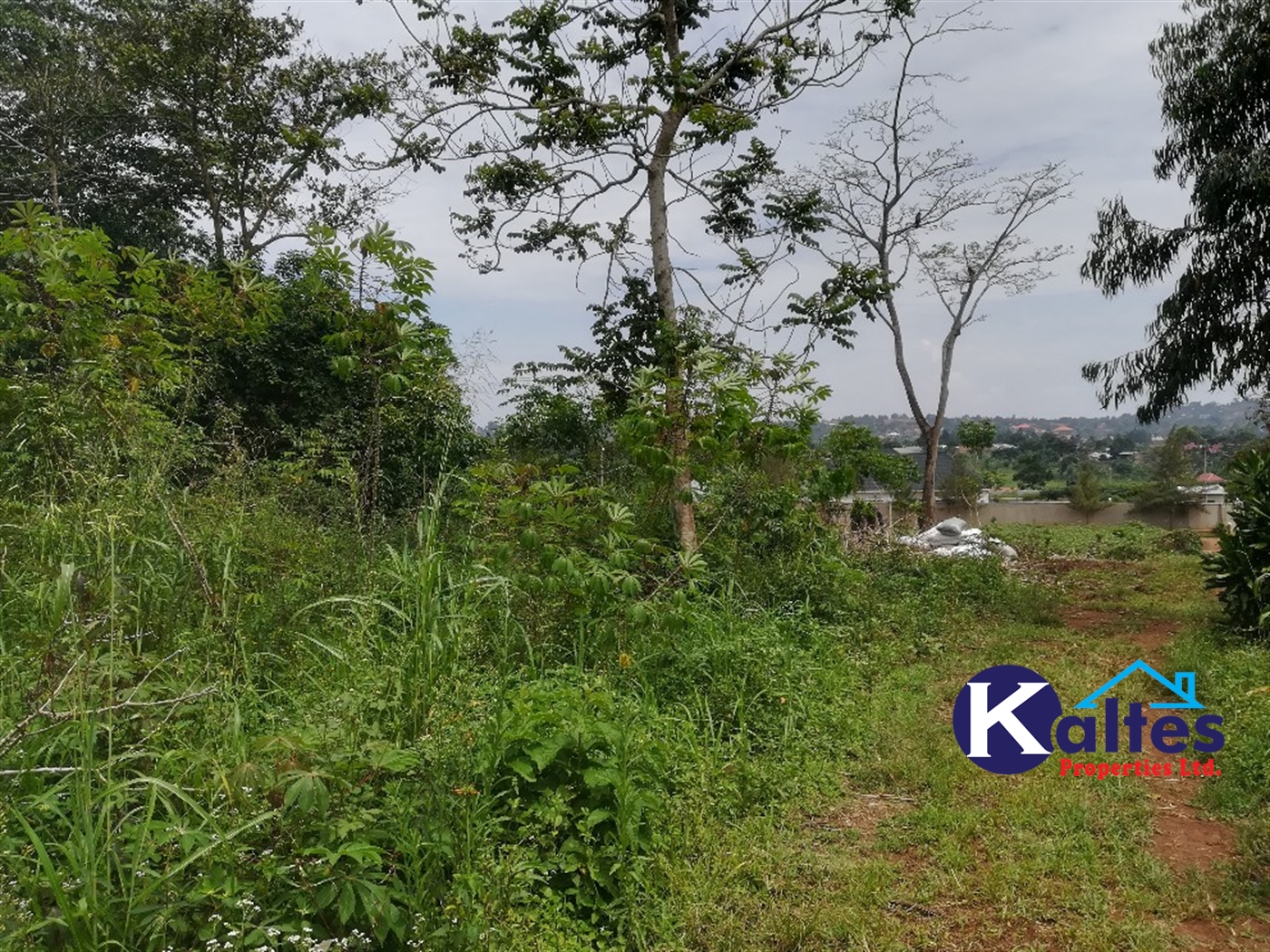 Residential Land for sale in Mpooma Mukono