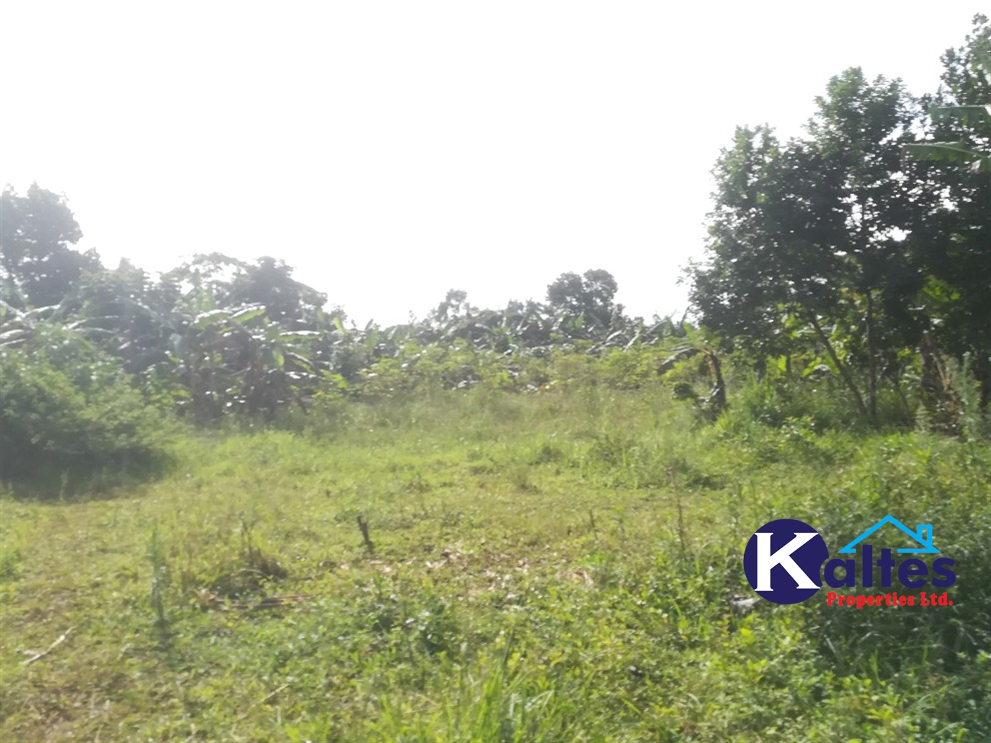 Residential Land for sale in Mpooma Mukono