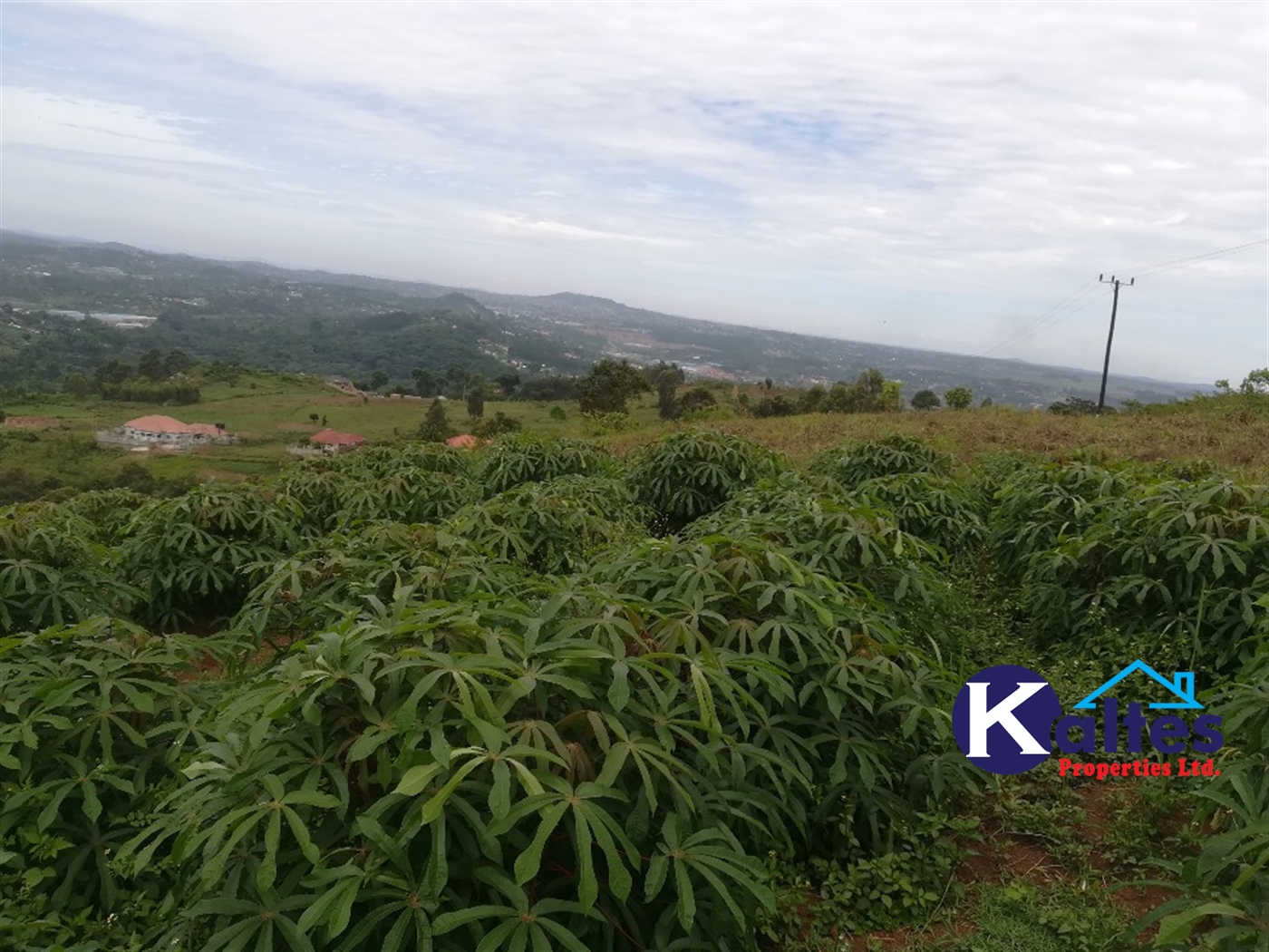 Residential Land for sale in Mpooma Mukono