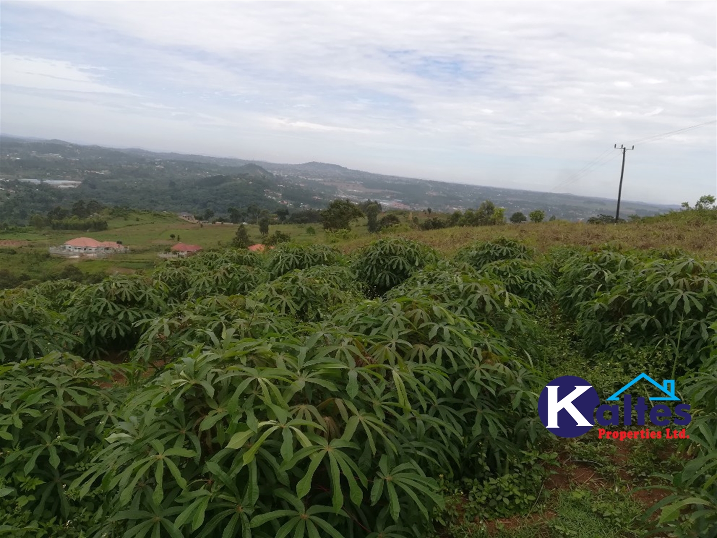 Residential Land for sale in Mpooma Mukono