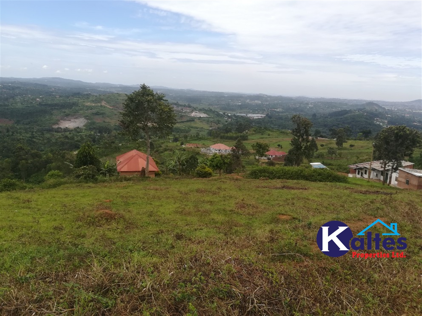 Residential Land for sale in Namayiba Mukono