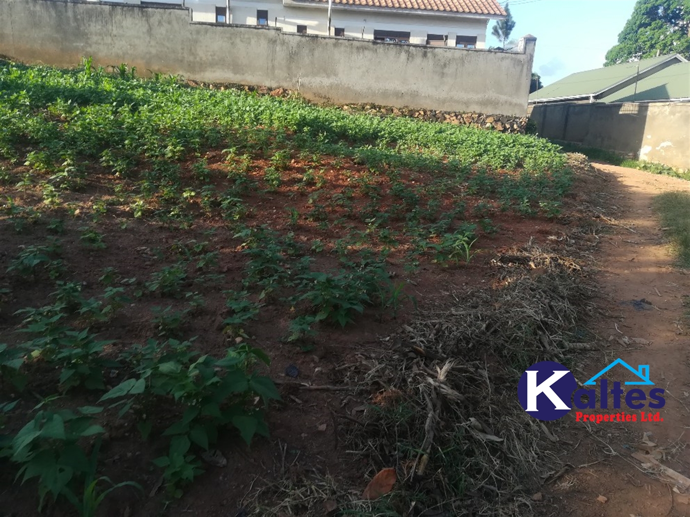 Residential Land for sale in Namayiba Mukono