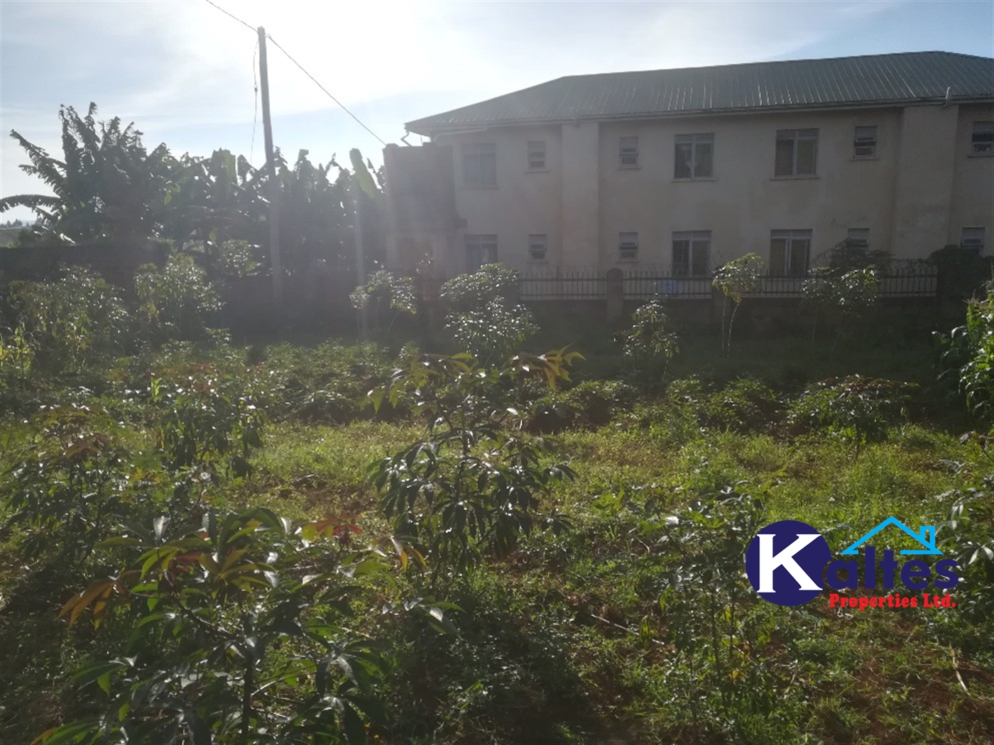 Residential Land for sale in Namayiba Mukono