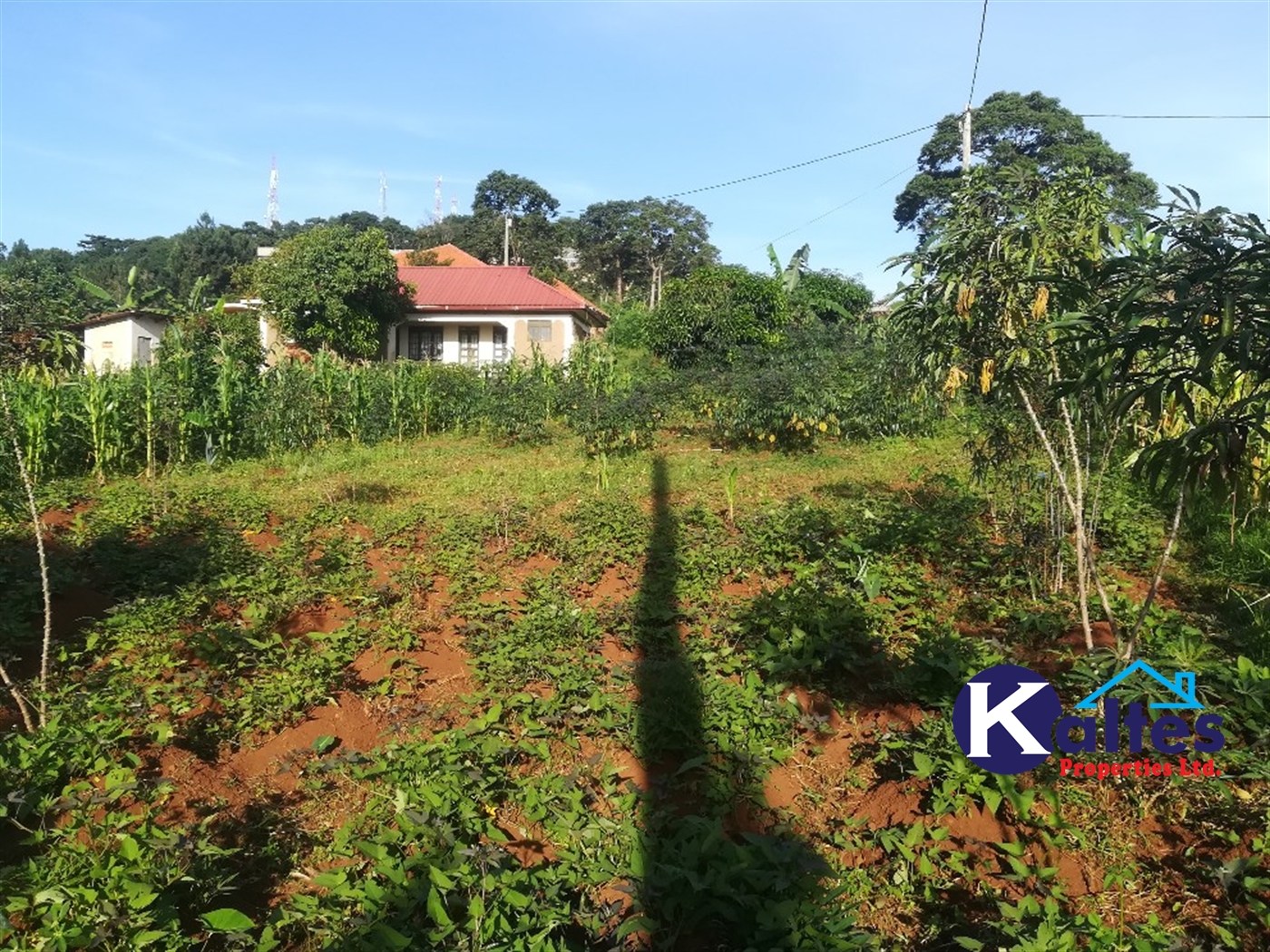 Residential Land for sale in Namayiba Mukono