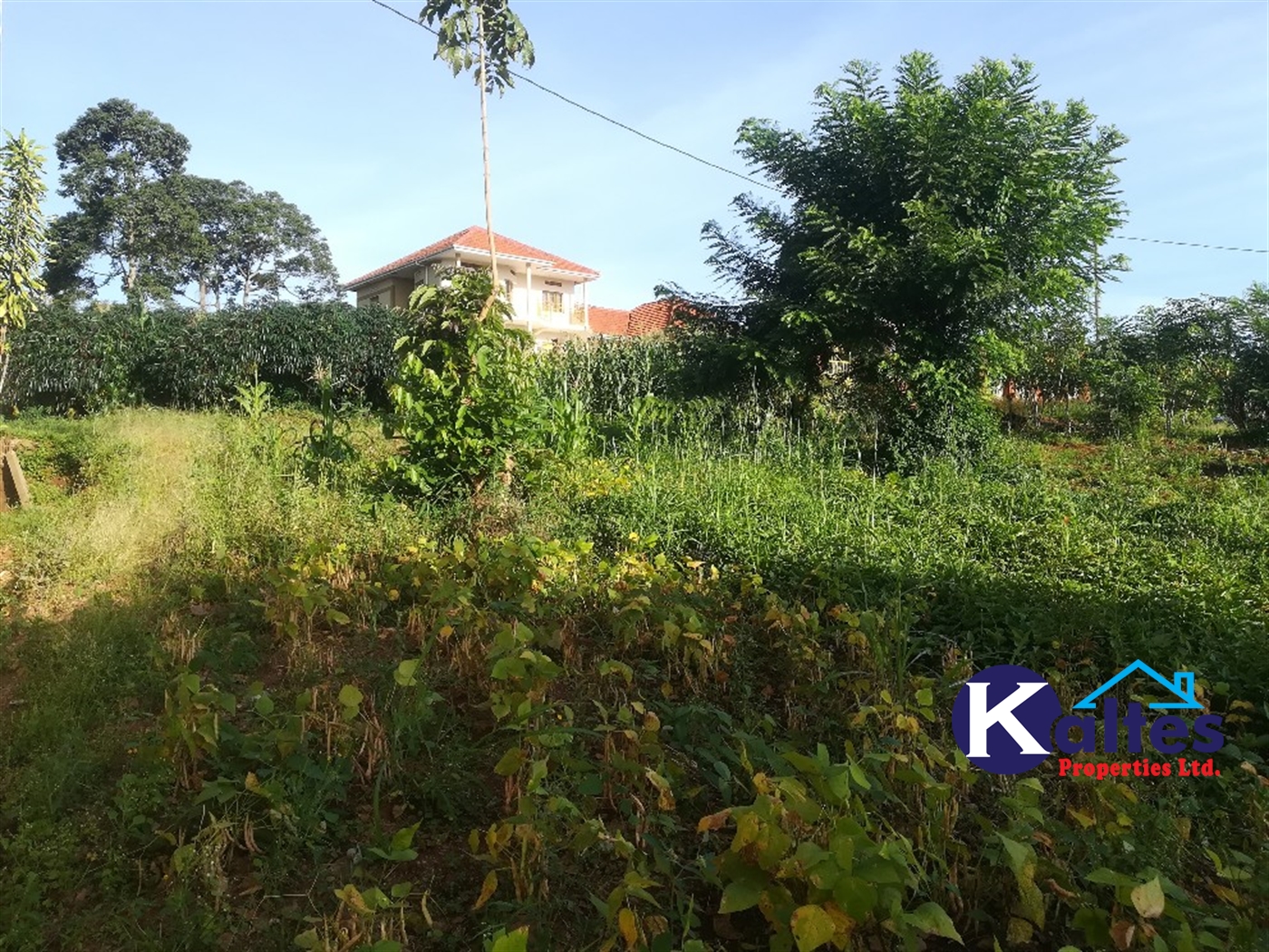 Residential Land for sale in Nakisunga Mukono