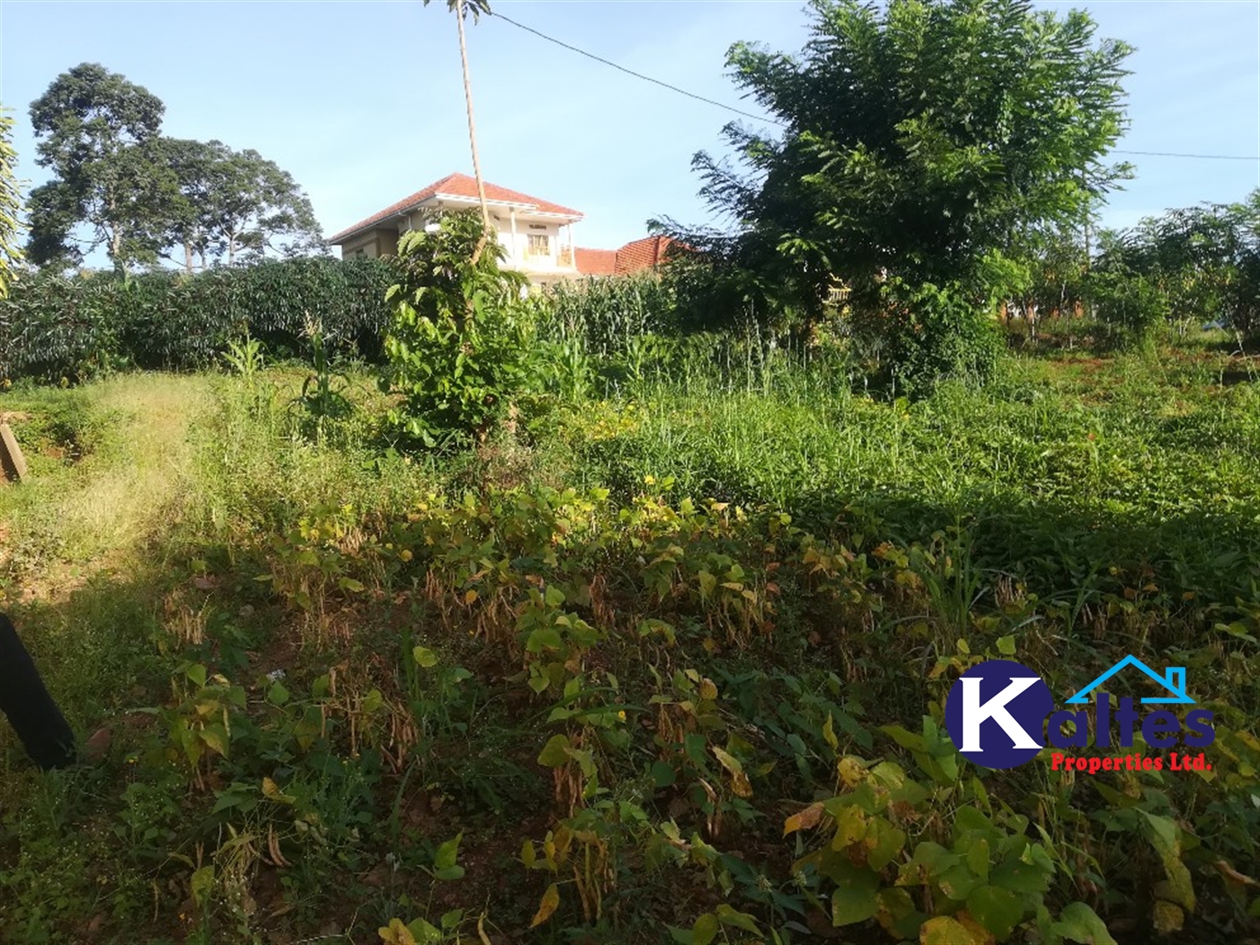 Residential Land for sale in Nakisunga Mukono