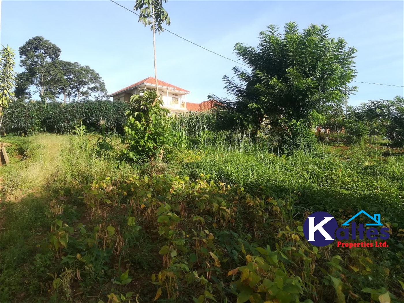 Residential Land for sale in Nakisunga Mukono