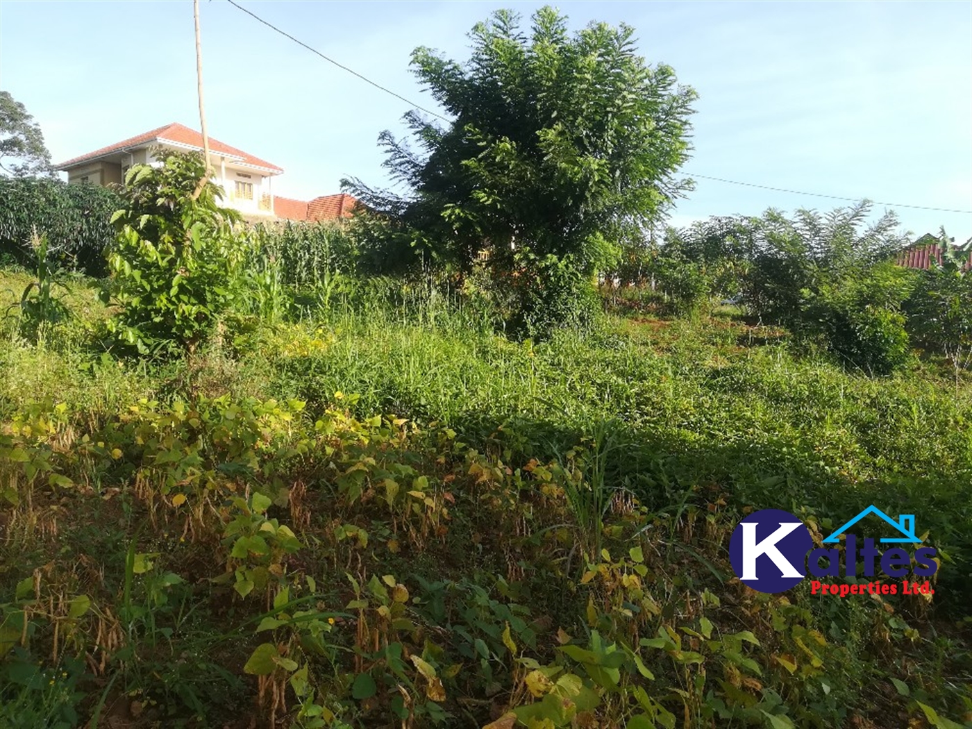 Residential Land for sale in Nakisunga Mukono