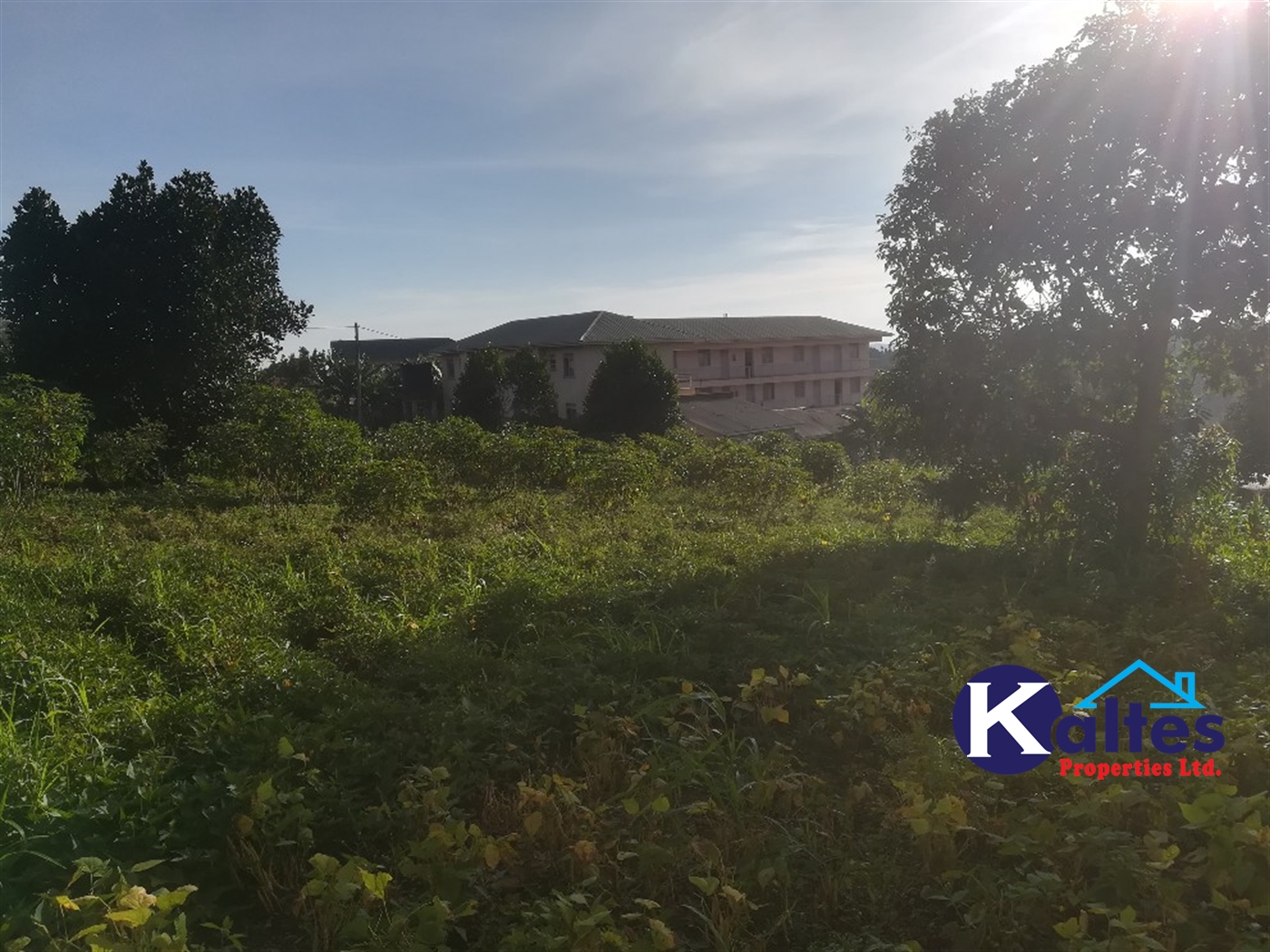 Residential Land for sale in Nakisunga Mukono