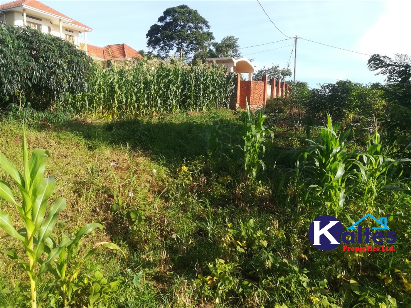 Residential Land for sale in Nakisunga Mukono