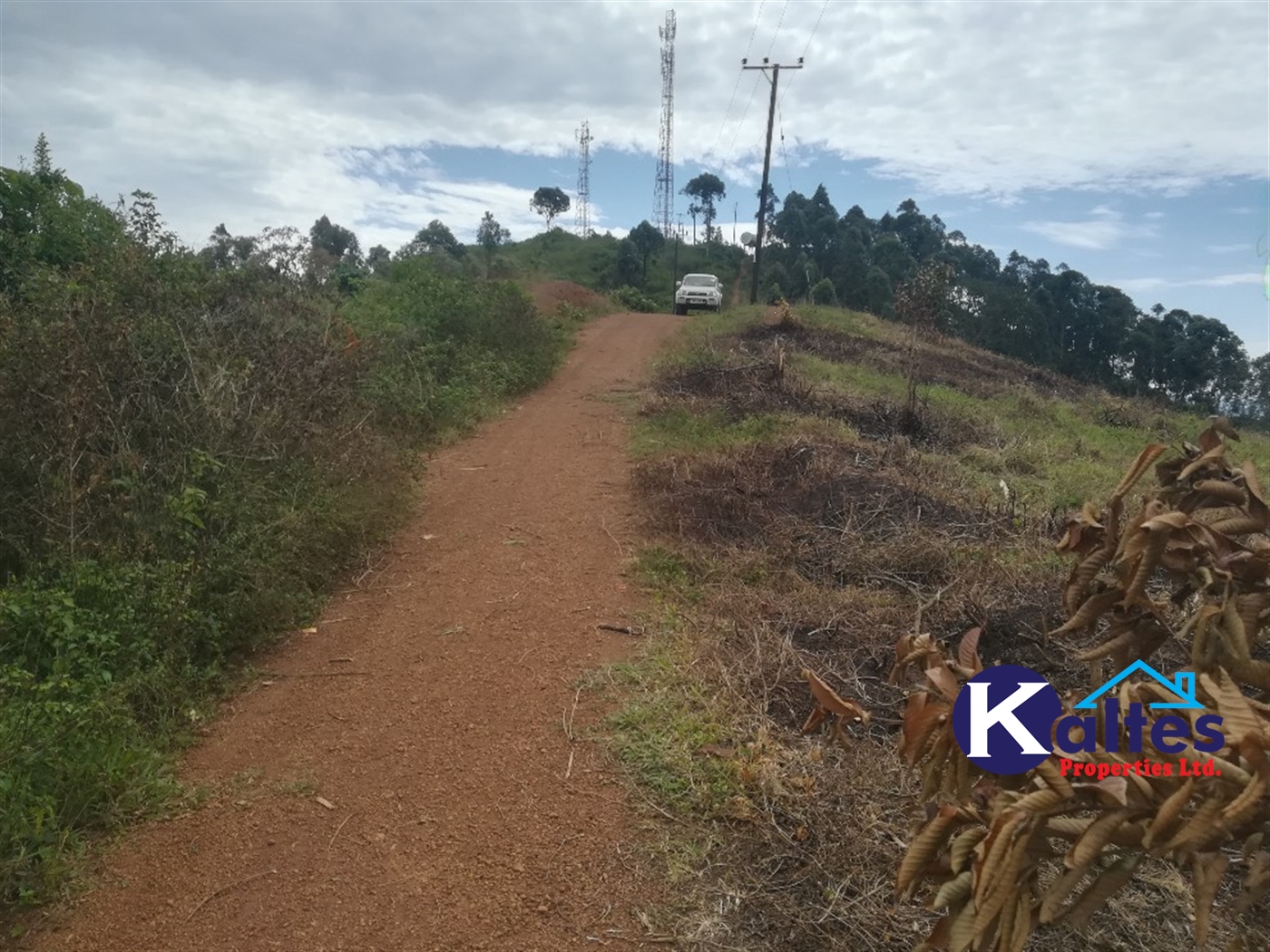 Agricultural Land for sale in Bujuta Buyikwe