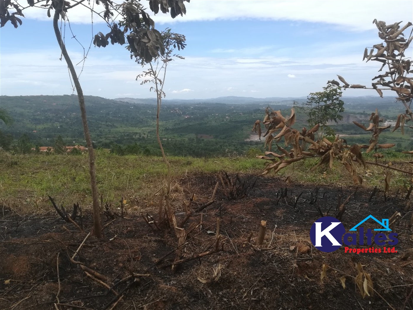 Agricultural Land for sale in Bujuta Buyikwe