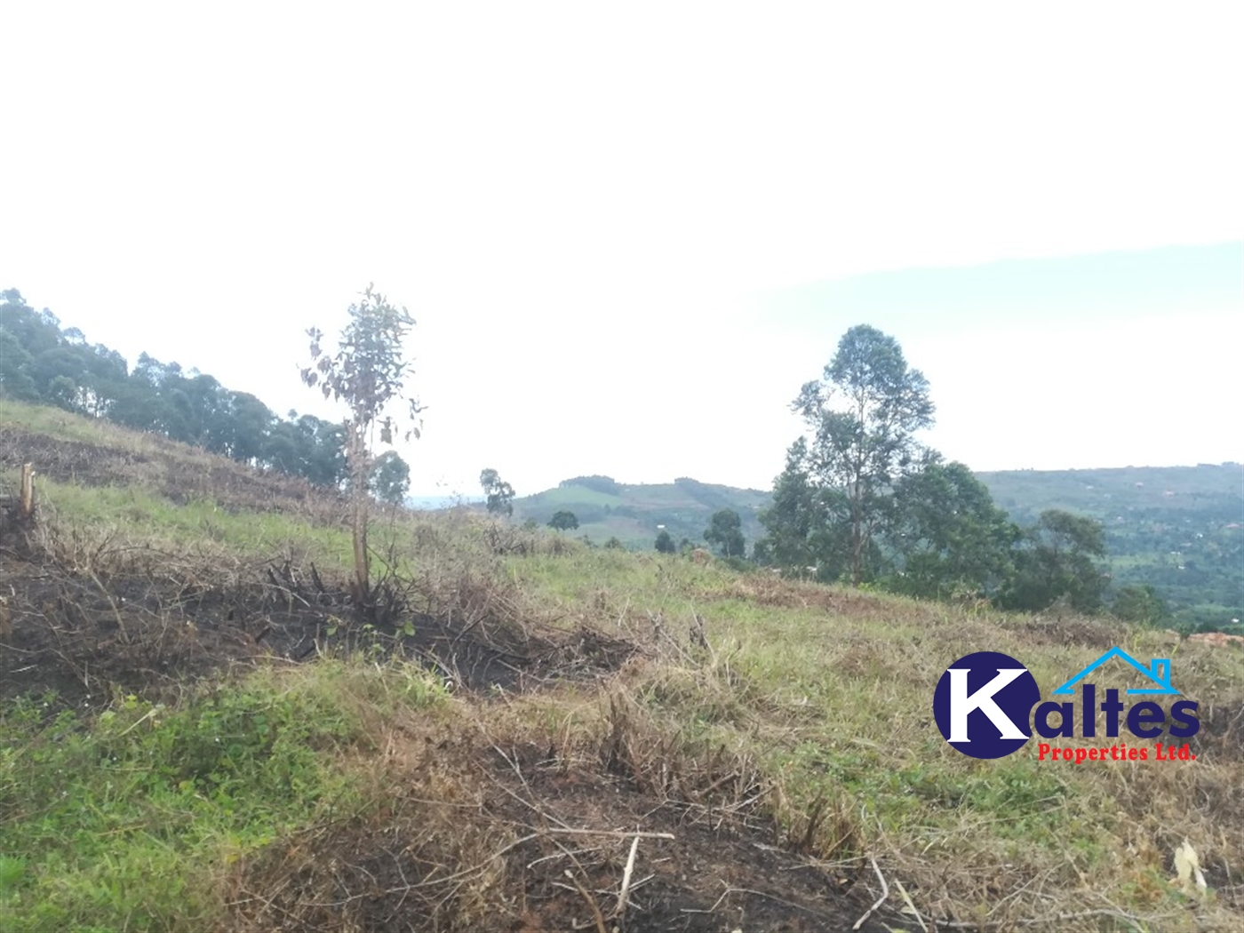 Agricultural Land for sale in Bujuta Buyikwe