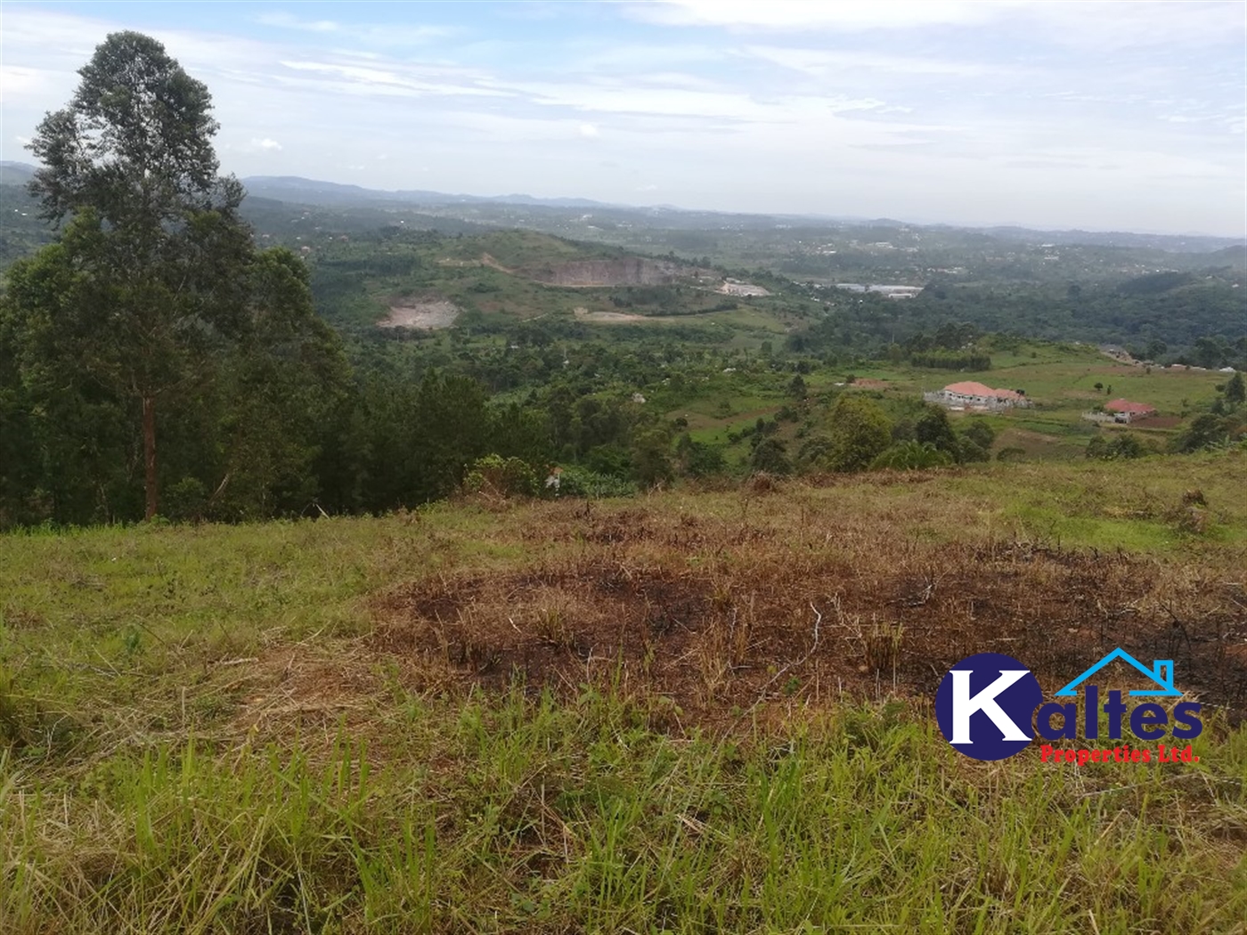 Agricultural Land for sale in Bujuta Buyikwe