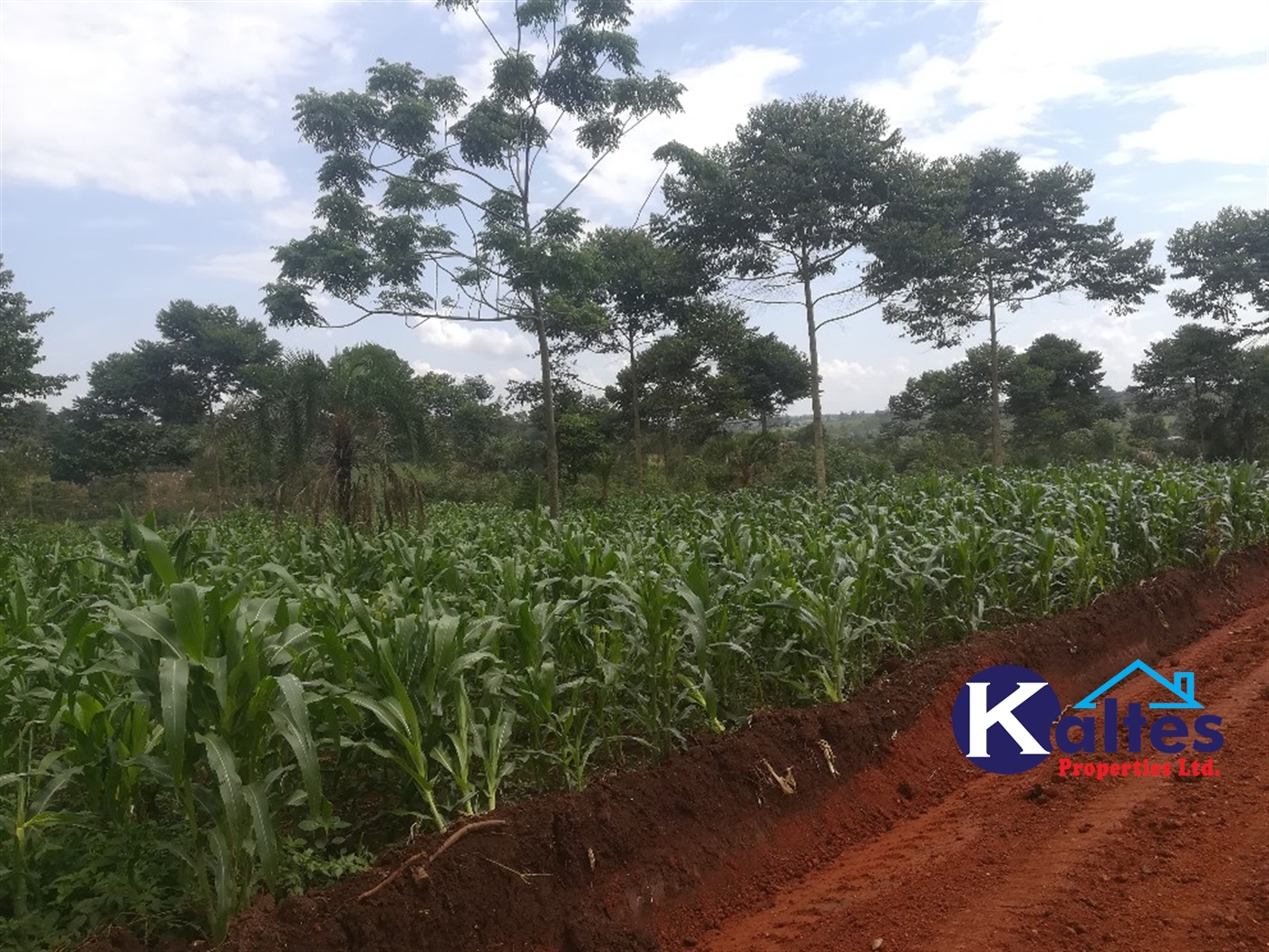Agricultural Land for sale in Kikaya Buyikwe