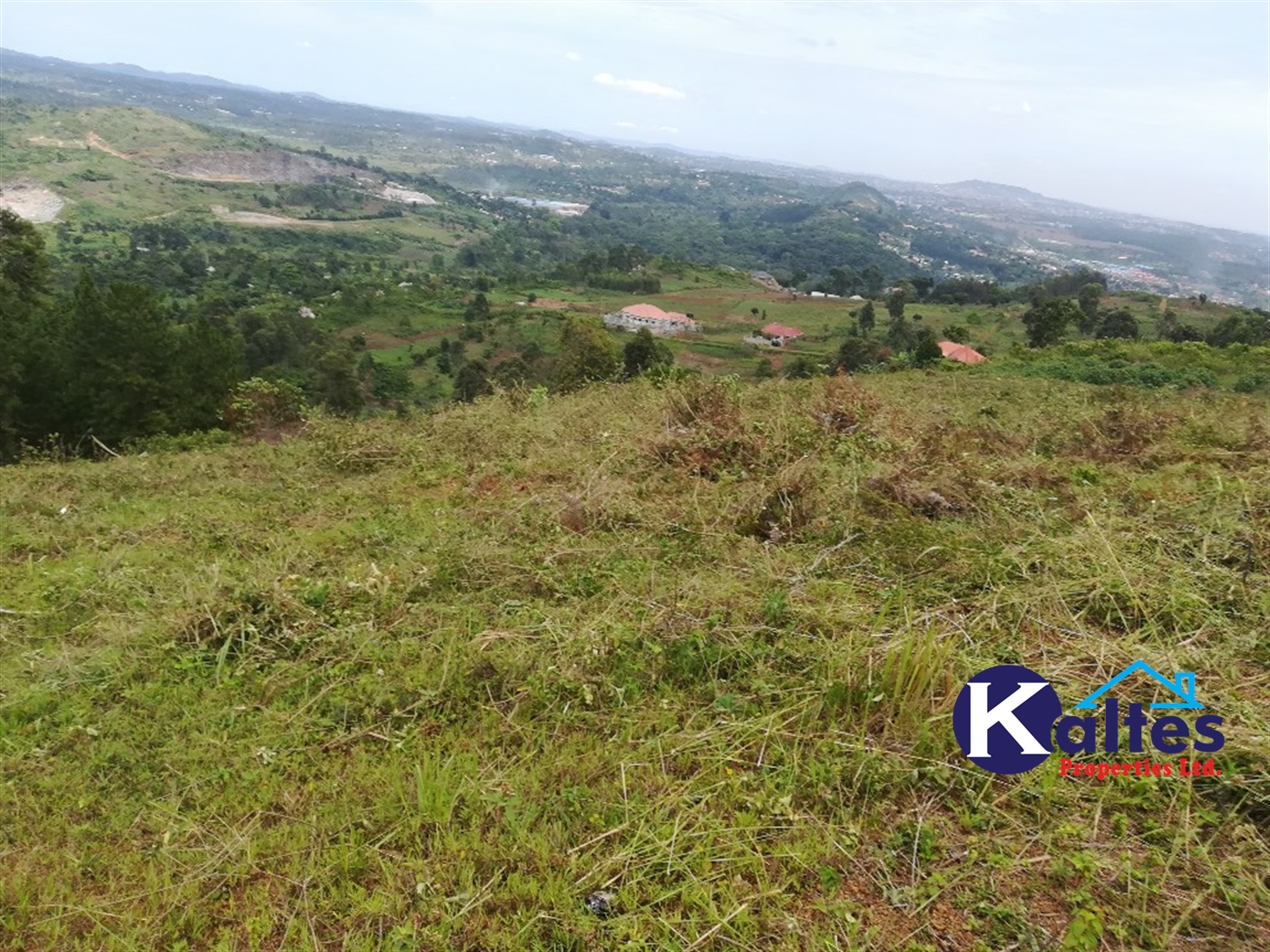 Residential Land for sale in Kyetume Mukono