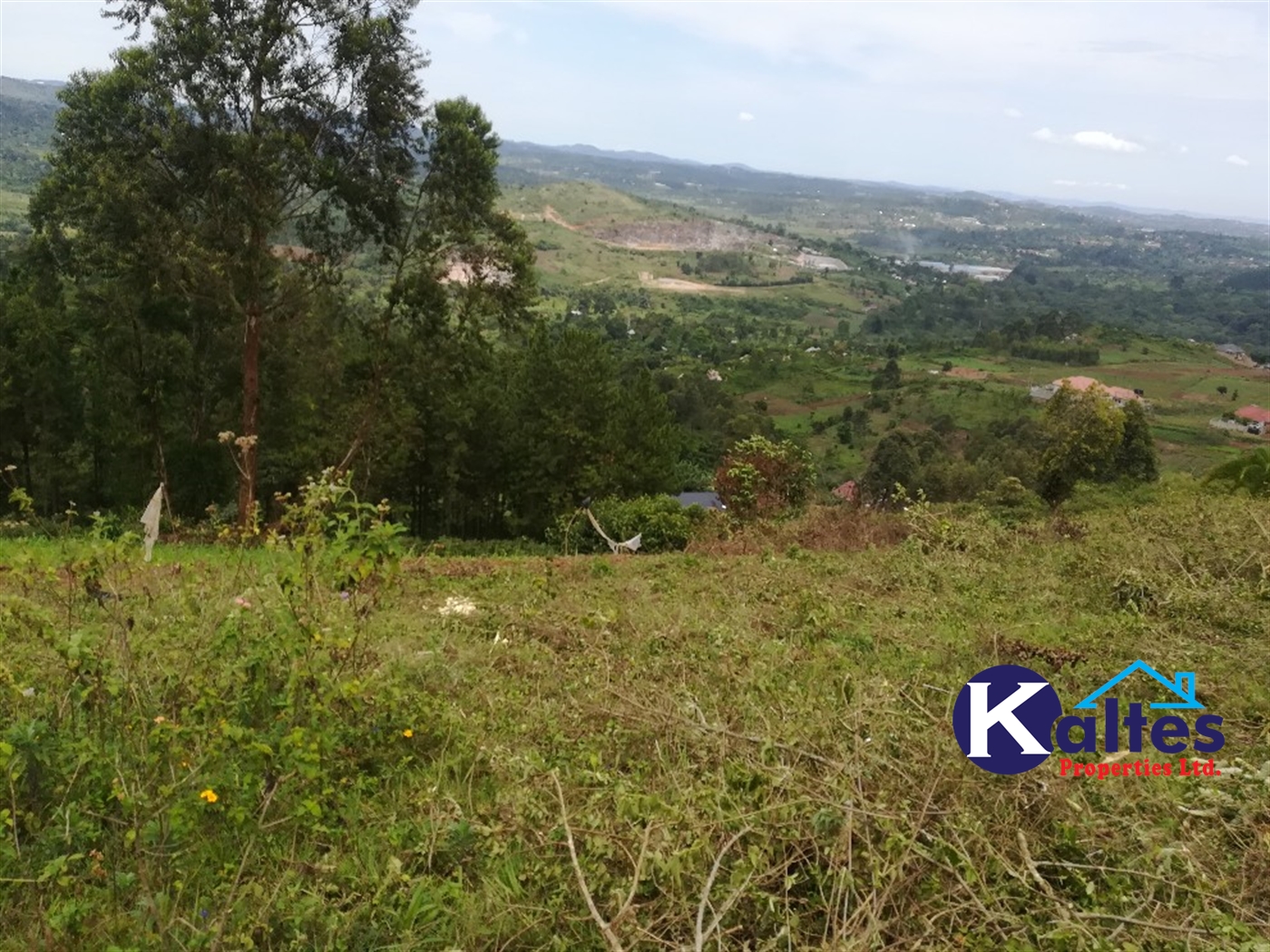 Residential Land for sale in Kyetume Mukono