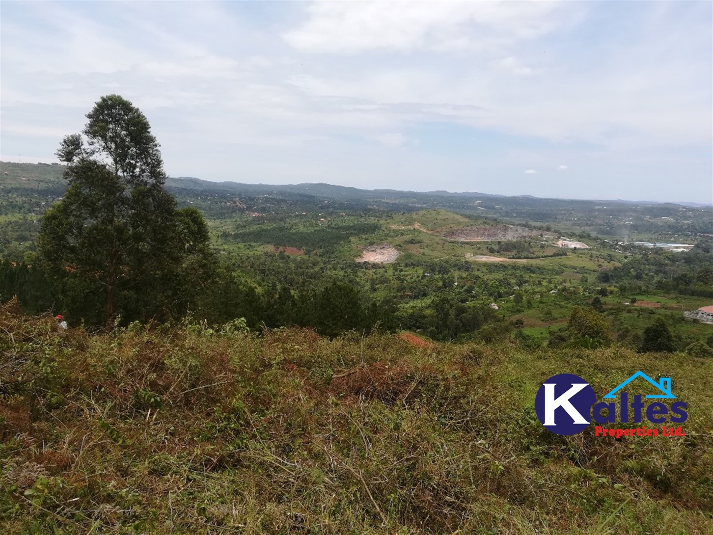 Residential Land for sale in Kyetume Mukono