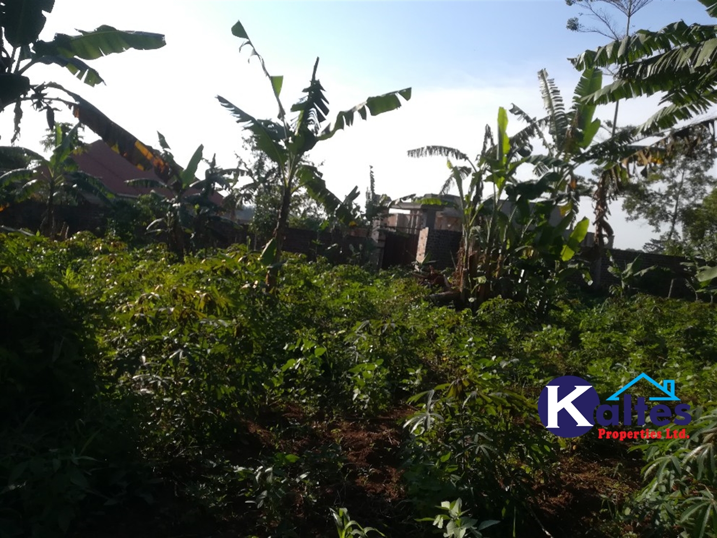 Residential Land for sale in Kyetume Mukono