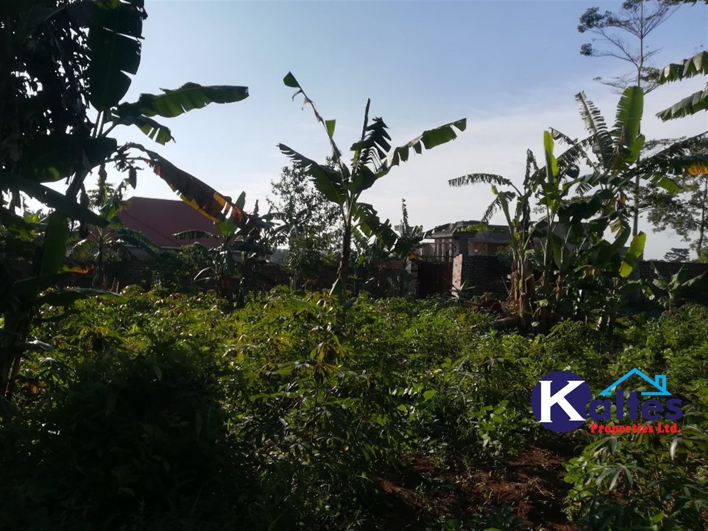 Residential Land for sale in Kyetume Mukono