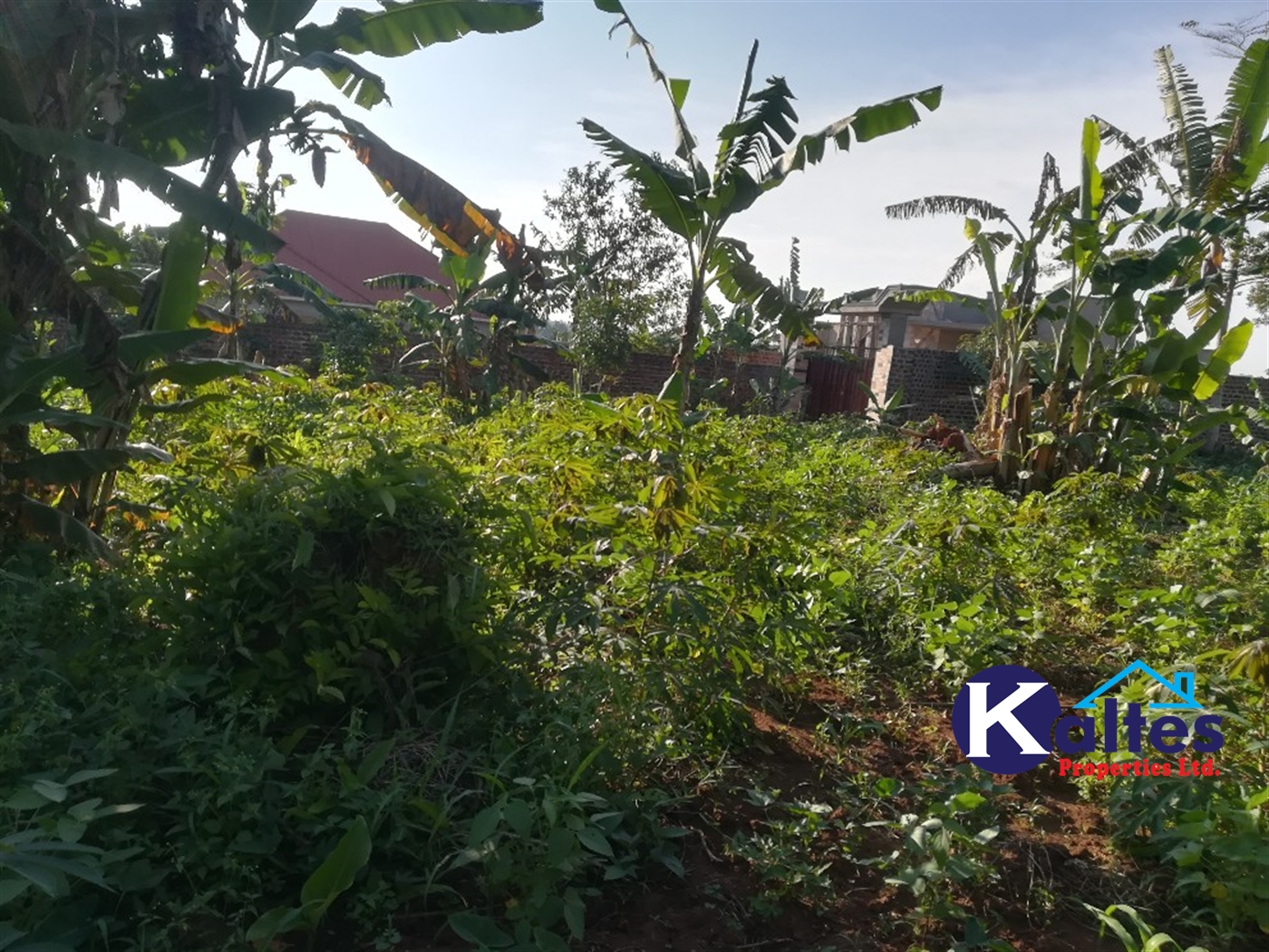 Residential Land for sale in Kyetume Mukono