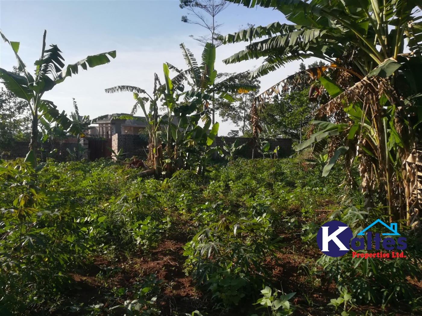 Residential Land for sale in Kyetume Mukono