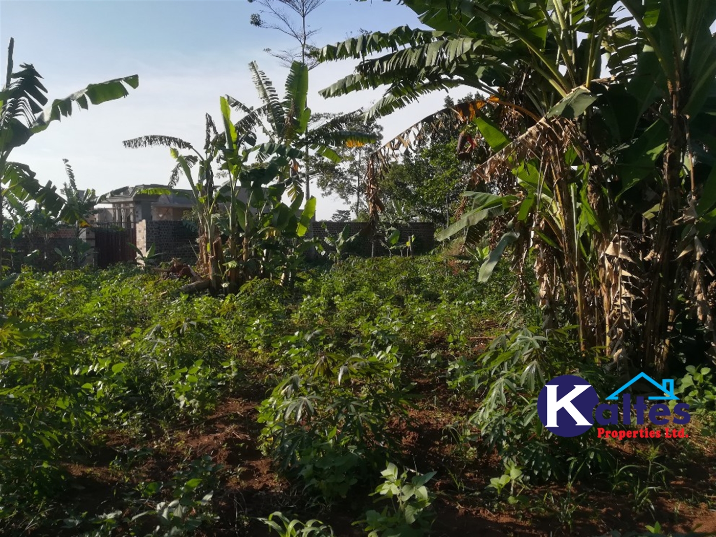 Residential Land for sale in Kyetume Mukono