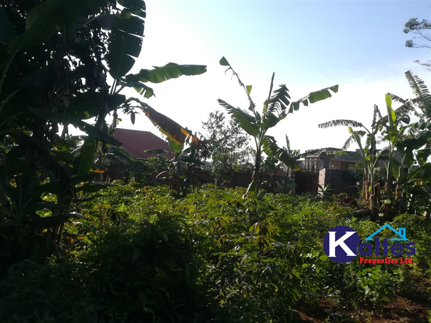 Residential Land for sale in Kyetume Mukono