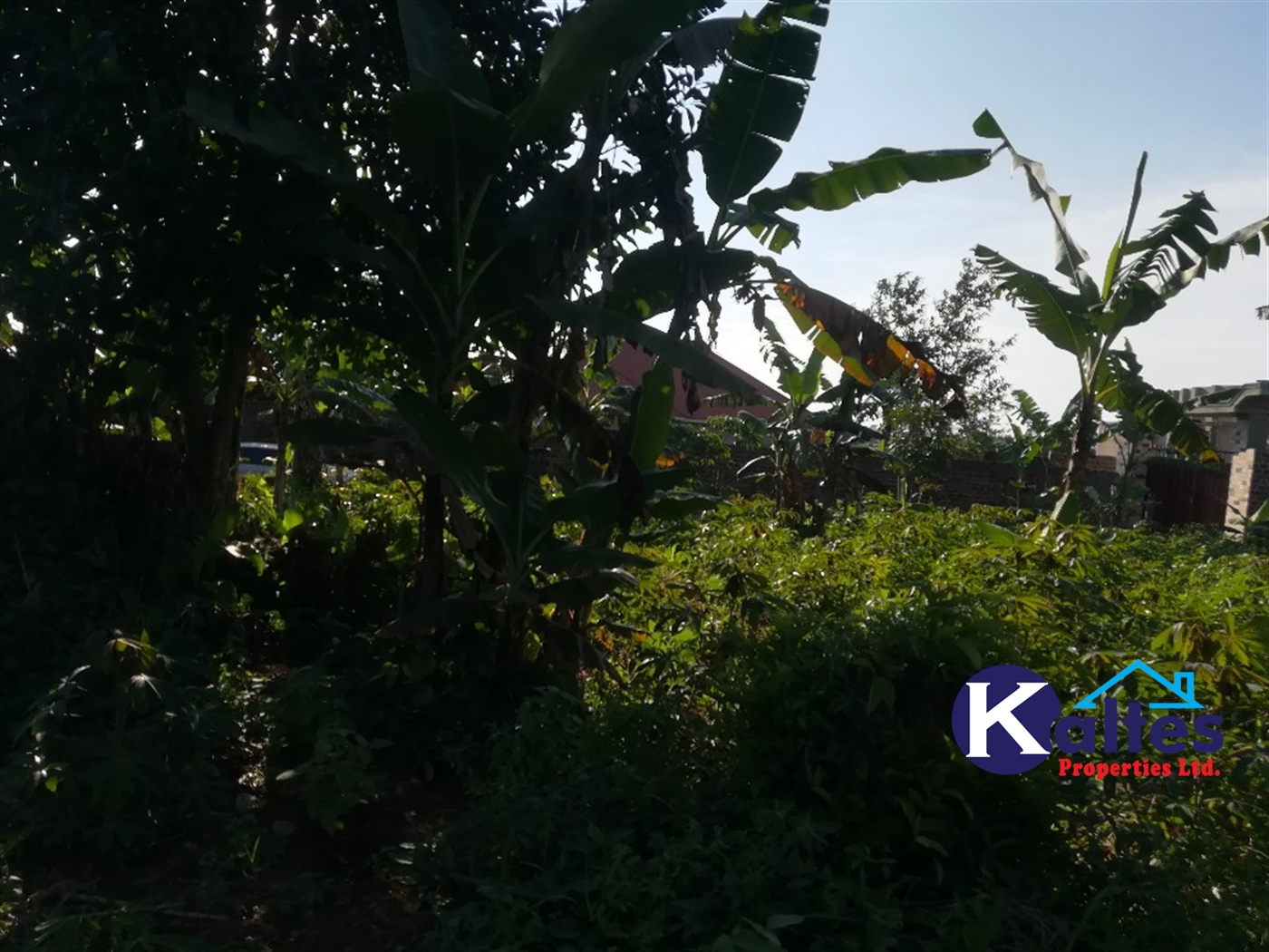 Residential Land for sale in Kyetume Mukono