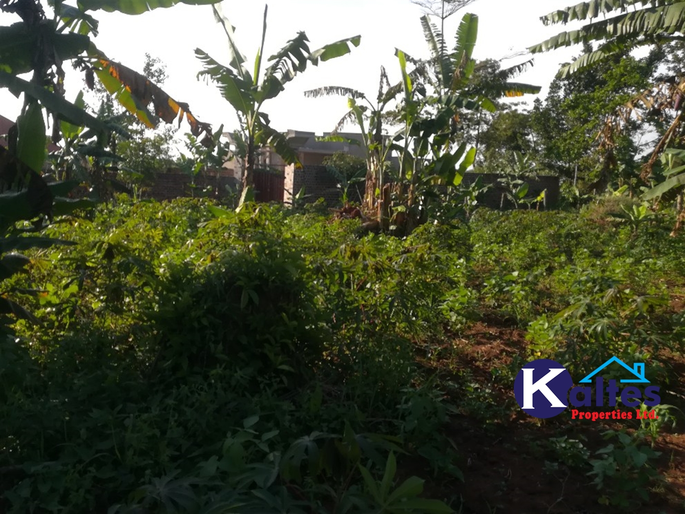 Residential Land for sale in Kyetume Mukono