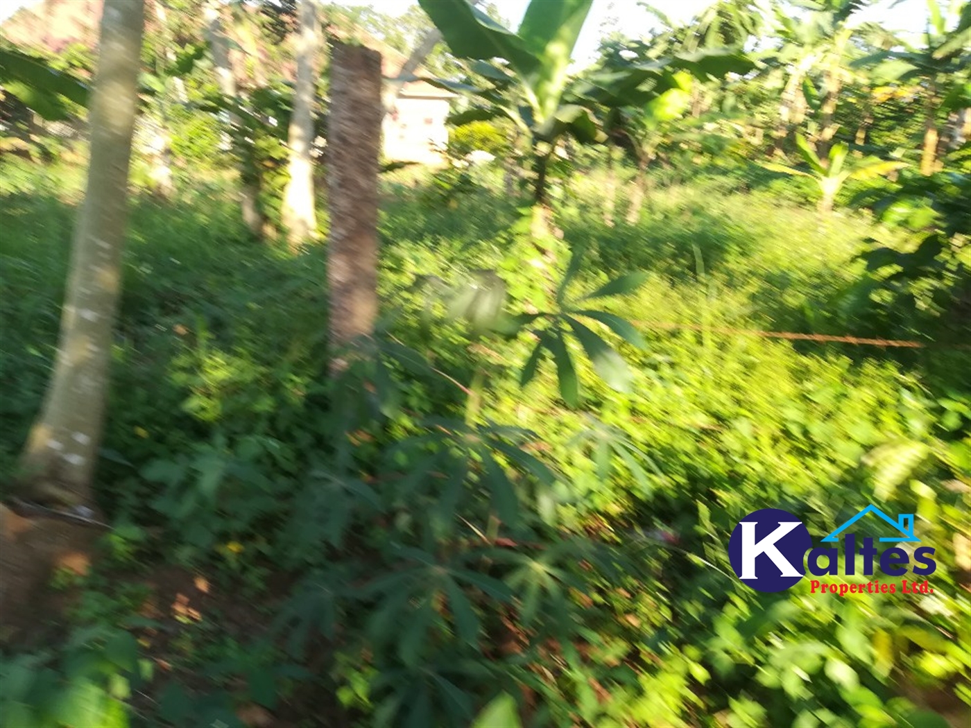 Residential Land for sale in Kyetume Mukono