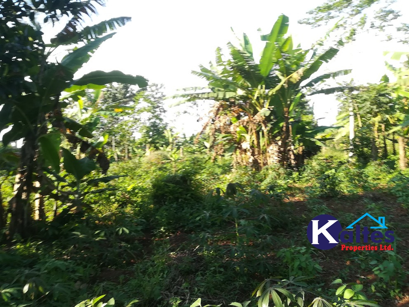 Residential Land for sale in Kyetume Mukono