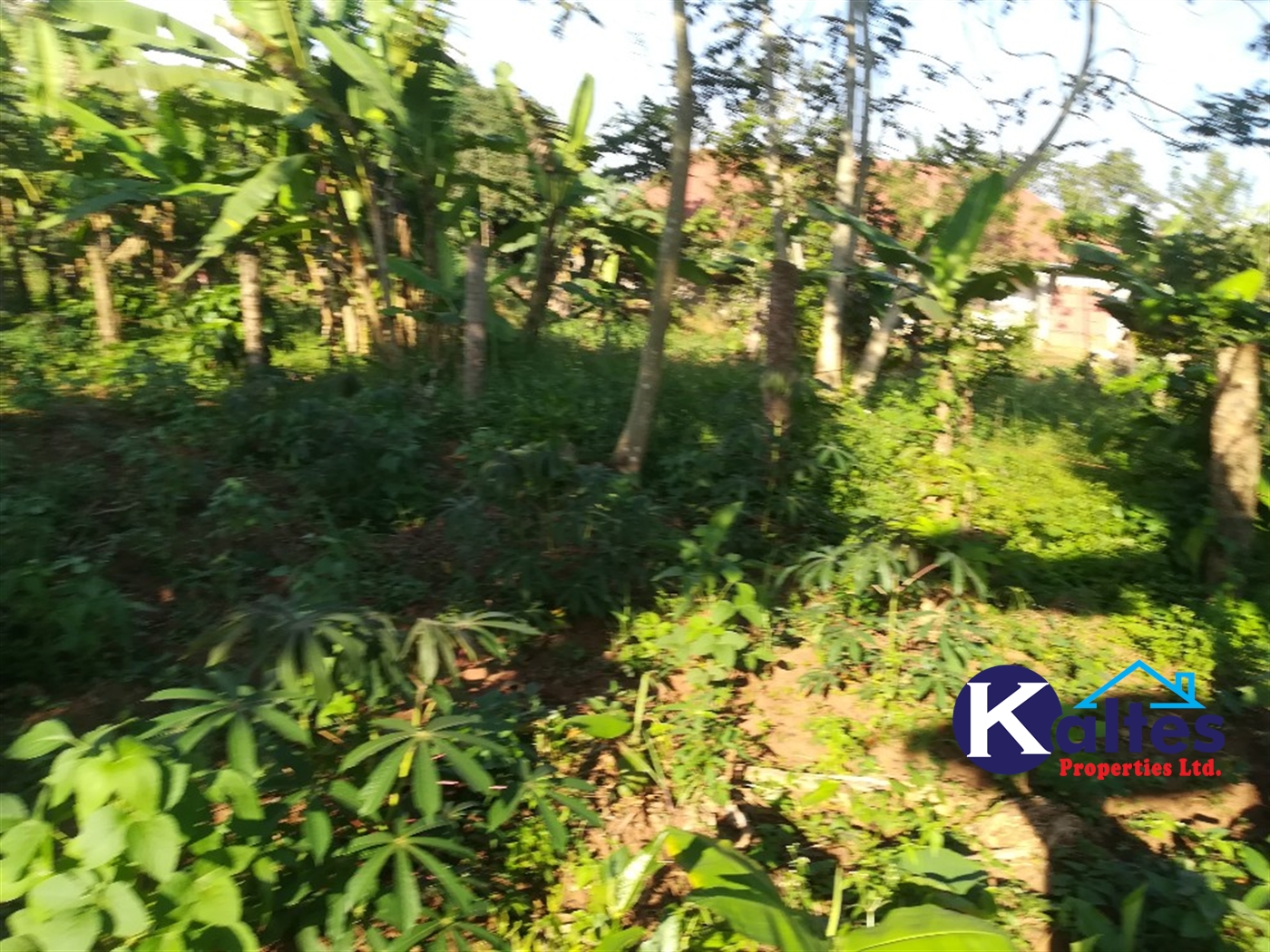 Residential Land for sale in Kyetume Mukono