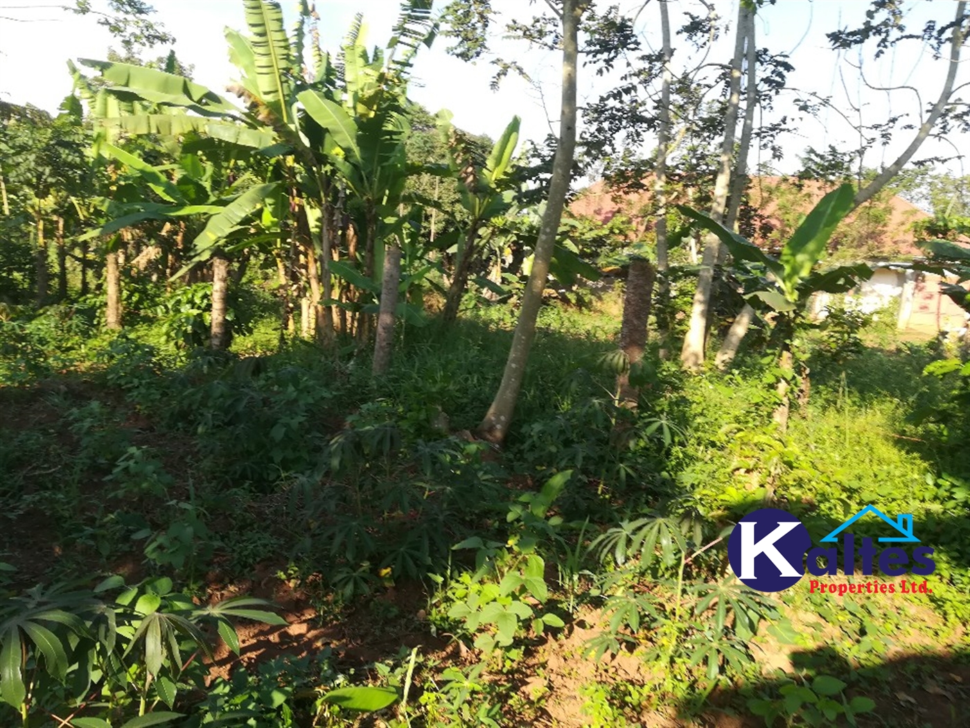 Residential Land for sale in Kyetume Mukono