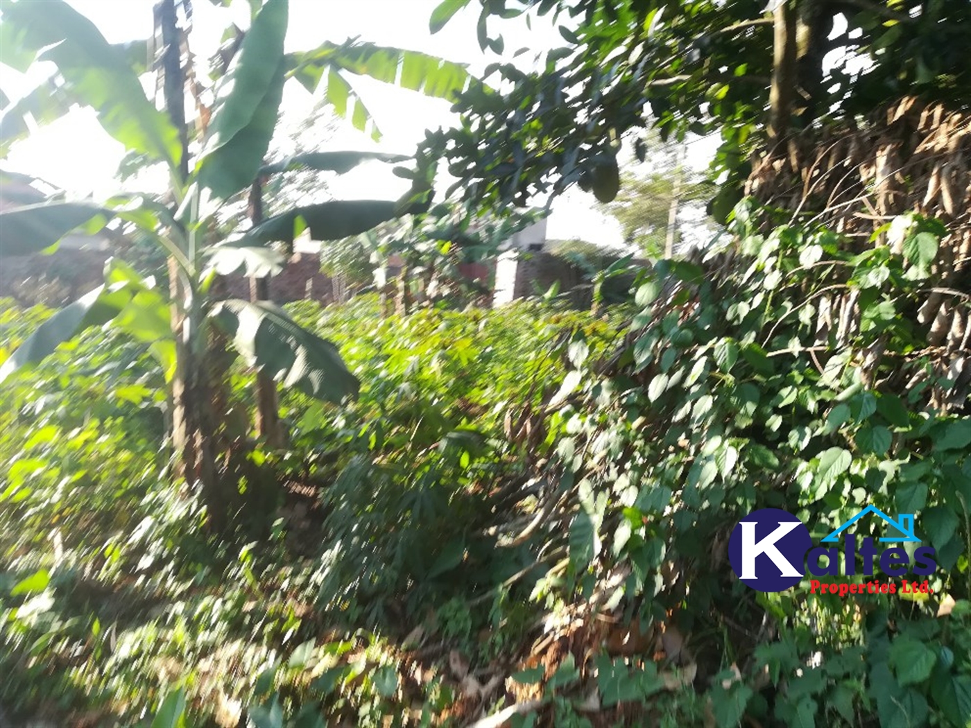 Residential Land for sale in Kyetume Mukono